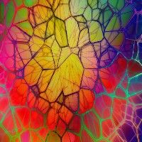 Setting up apps and custom integrations